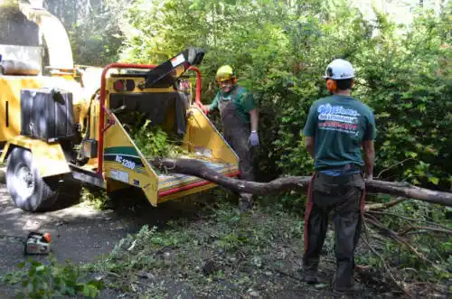tree services Halaula